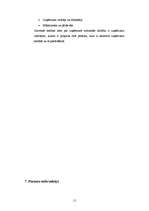 Biznesa plāns 'IK "Vāzīte"', 11.