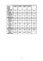 Biznesa plāns 'IK "Vāzīte"', 16.