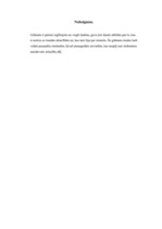 Referāts 'Pema Spēra "Tu&Viņš"', 8.