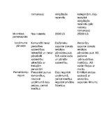 Konspekts 'Uzņēmējdarbības uzsākšanas ABC -  uzņēmējdarbības formas', 3.