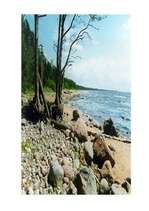 Referāts 'Dabas aizsardzība', 1.