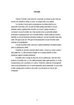 Referāts 'Zaļās karotītes zīmola apraksts', 3.