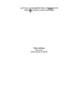 Referāts 'Siera ražošana', 1.