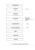 Referāts 'Siera ražošana', 9.