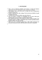 Referāts 'Siera ražošana', 41.
