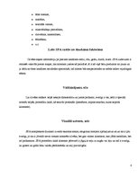 Referāts 'SPA pakalpojumi, to izcelsme un vēsture', 6.