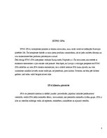 Referāts 'SPA pakalpojumi, to izcelsme un vēsture', 8.