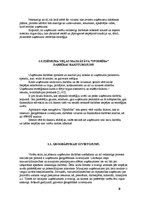 Referāts 'Uzņēmuma veļas mazgātavas produktu attīstības stratēģija', 8.