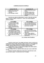 Referāts 'Uzņēmuma veļas mazgātavas produktu attīstības stratēģija', 13.