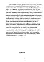 Referāts 'Libāna', 6.