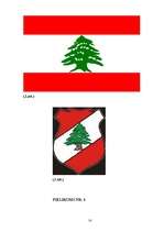 Referāts 'Libāna', 14.