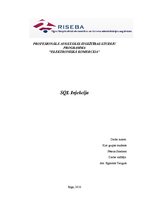 Referāts 'SQL injekcija', 1.