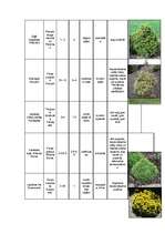 Konspekts 'Augu raksturojumi', 3.