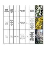 Konspekts 'Augu raksturojumi', 6.