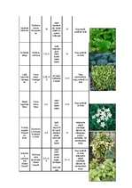 Konspekts 'Augu raksturojumi', 8.