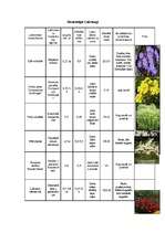 Konspekts 'Augu raksturojumi', 9.