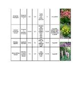 Konspekts 'Augu raksturojumi', 10.