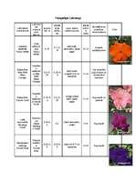 Konspekts 'Augu raksturojumi', 11.