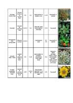 Konspekts 'Augu raksturojumi', 12.