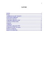 Referāts 'Iekšējās vides analīze uzņēmumā SIA "BBS"', 2.