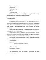 Konspekts 'Latviešu tautas mīklas', 4.