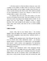 Konspekts 'Latviešu tautas mīklas', 8.