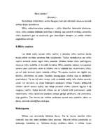 Konspekts 'Latviešu tautas mīklas', 15.