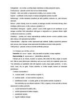 Referāts 'Par NLP', 6.