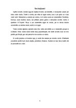 Referāts 'Latviešu valodas apguves iespējas ārzemēs', 9.