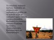 Prezentācija 'Černobiļas katastrofa', 8.