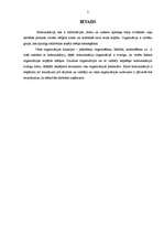 Referāts 'Lietišķā komunikācija', 2.