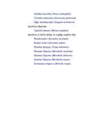 Referāts 'Asku sēnes', 3.