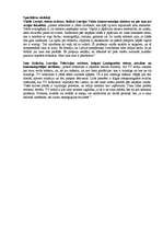 Referāts 'Režisora profesija', 14.