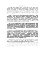 Eseja 'Silikona hermētiķi', 1.