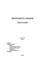 Referāts 'Līguma analīze', 1.