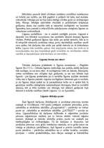 Referāts 'Līguma analīze', 2.