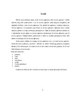 Referāts 'Tūrisma aģentūras "Ap Sauli", "Mārītes" un "Maks" mārketinga pasākumu kompleksa ', 4.