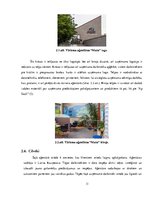 Referāts 'Tūrisma aģentūras "Ap Sauli", "Mārītes" un "Maks" mārketinga pasākumu kompleksa ', 11.