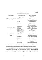 Referāts 'Pircēju rīcību ietekmējošie faktori, izvēloties ēdienu piegādes servisu "Bolt Fo', 11.