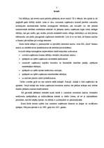 Referāts 'SIA "KATE" finansiālā stāvokļa analīze par 5 gadiem', 2.