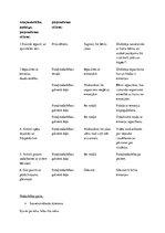 Konspekts 'Integrētā nodarbība ar dominanti sociālajās zinībās un zīmēšanā', 2.