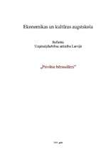 Referāts 'Privātie bērnudārzi', 1.