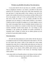 Referāts 'Privātie bērnudārzi', 6.