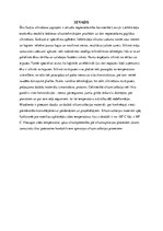 Referāts 'Siltumizolācija un ēka', 4.