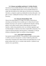 Referāts 'Siltumizolācija un ēka', 9.