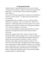 Referāts 'Siltumizolācija un ēka', 14.