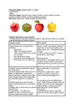 Paraugs 'Nodarbības vizuālajā mākslā bērniem PII ar GAT', 3.