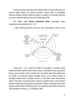 Diplomdarbs 'Uzņēmuma vadītāja lēmumu pieņemšanas procesa un kultūrvides sakarības', 12.