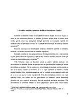 Diplomdarbs 'Laulības līguma faktiskais mērķis mūsdienu Latvijas Republikā', 28.