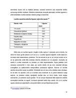 Diplomdarbs 'Laulības līguma faktiskais mērķis mūsdienu Latvijas Republikā', 63.